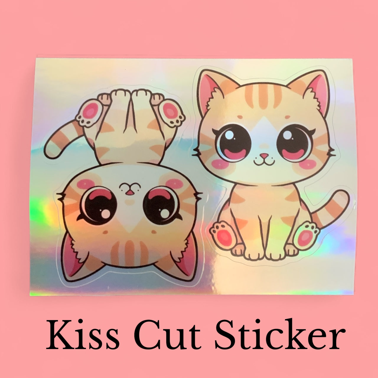 Kawaii Cat Rainbow Set | Cute Kitten | Holographic Foil | Kiss-Cut Sticker